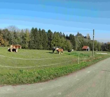 Apartament Schmiede