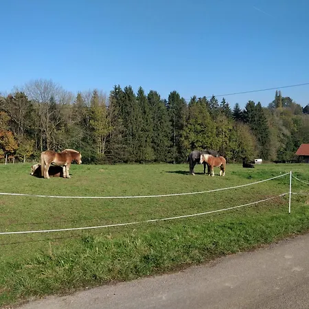 Schmiede *